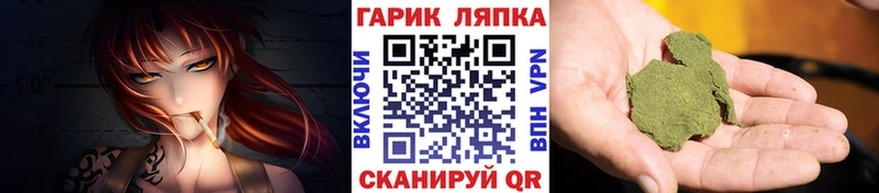 мега онион  Зубцов  ГАШ гарик  закладки 