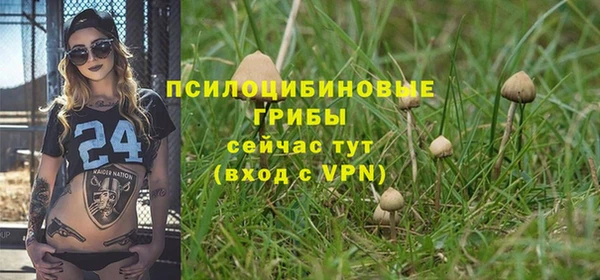 ешки Бронницы