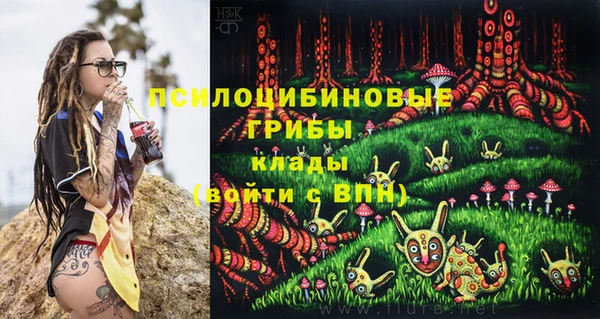тгк Верхний Тагил